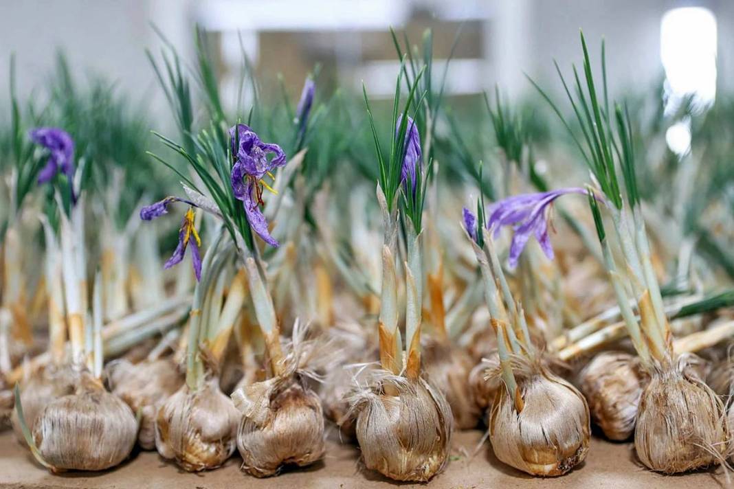 14 metrekarelik odaya kurduğu sistemle köşeyi döndü! 10